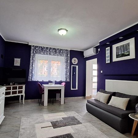 Studio Apartman Marta Korenica Εξωτερικό φωτογραφία