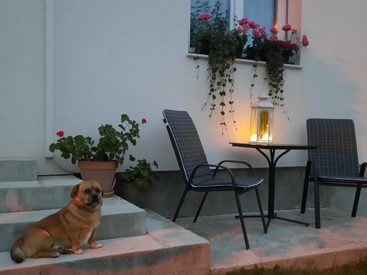 Studio Apartman Marta Korenica Εξωτερικό φωτογραφία
