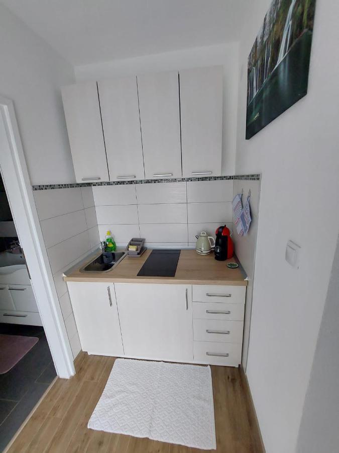 Studio Apartman Marta Korenica Εξωτερικό φωτογραφία