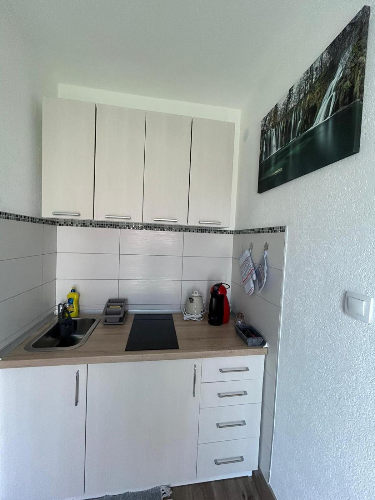 Studio Apartman Marta Korenica Εξωτερικό φωτογραφία